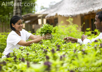 Six Senses Destination Spa Phuket 27